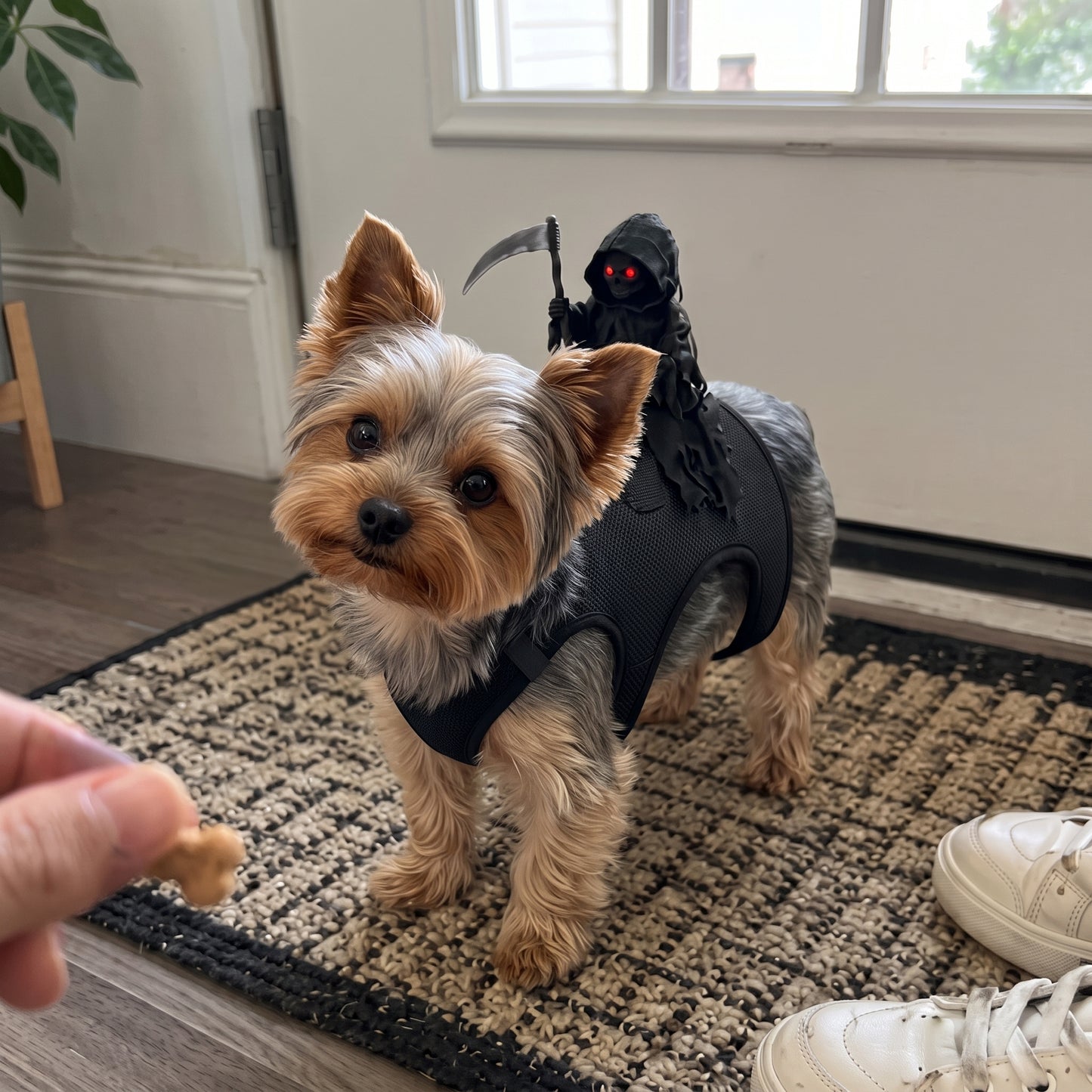 ReaperPaws™ — Costume Gatto